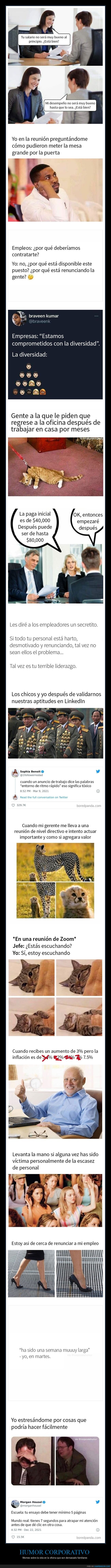 trabajo,oficina